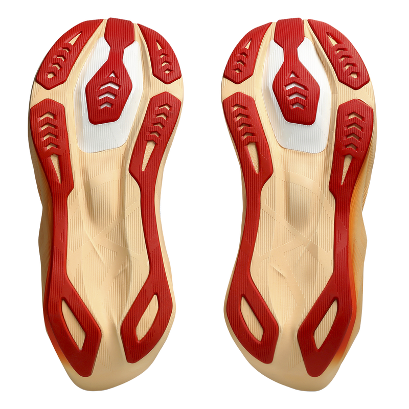 Asics Novablast 6