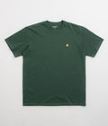 Carhartt Chase T-Shirt in Sycamore Tree and Gold