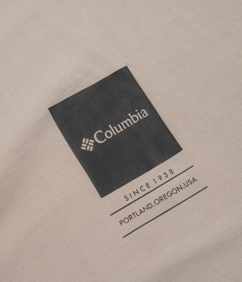 Columbia Barton Springs II Graphic T-Shirt in Crushed Clay