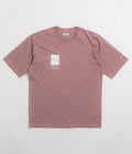 Columbia Barton Springs II Graphic T-Shirt in Fig