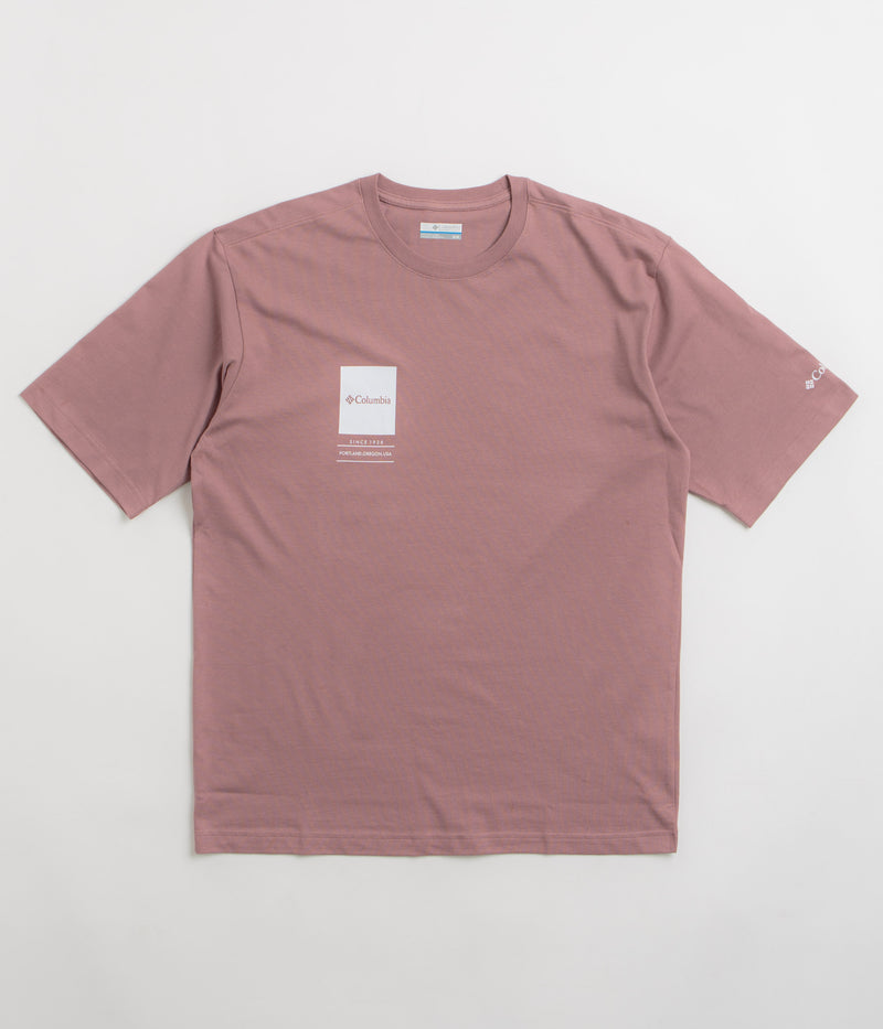 Columbia Barton Springs II Graphic T-Shirt in Fig