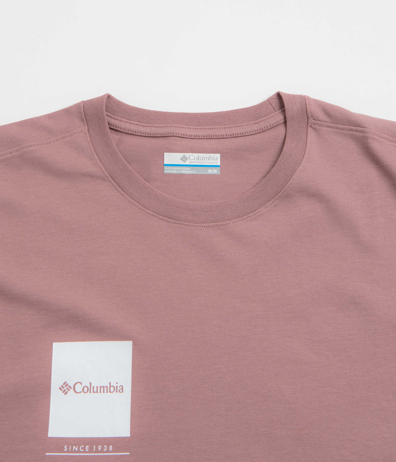 Columbia Barton Springs II Graphic T-Shirt in Fig
