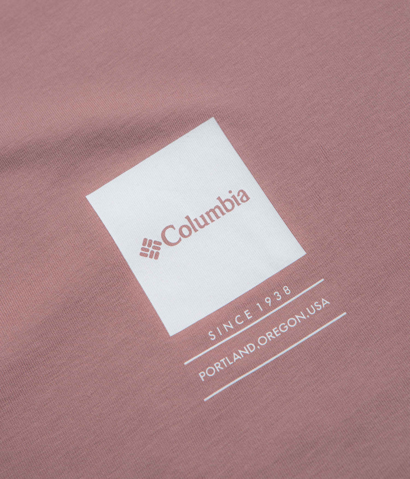 Columbia Barton Springs II Graphic T-Shirt in Fig