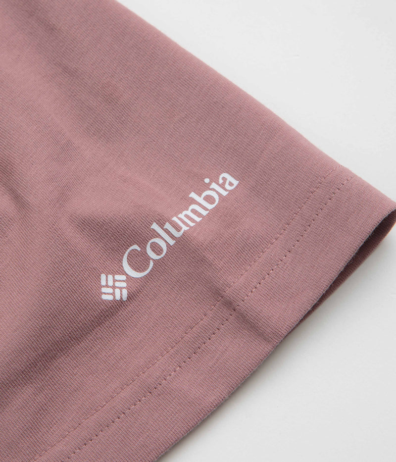 Columbia Barton Springs II Graphic T-Shirt in Fig