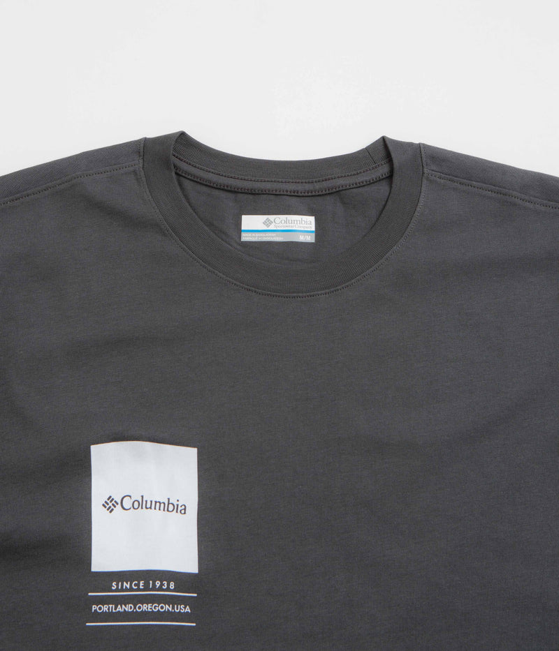 Columbia Barton Springs II Graphic T-Shirt in Shark