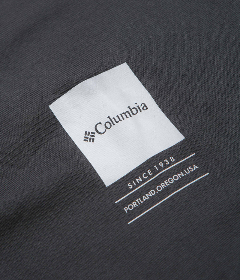 Columbia Barton Springs II Graphic T-Shirt in Shark