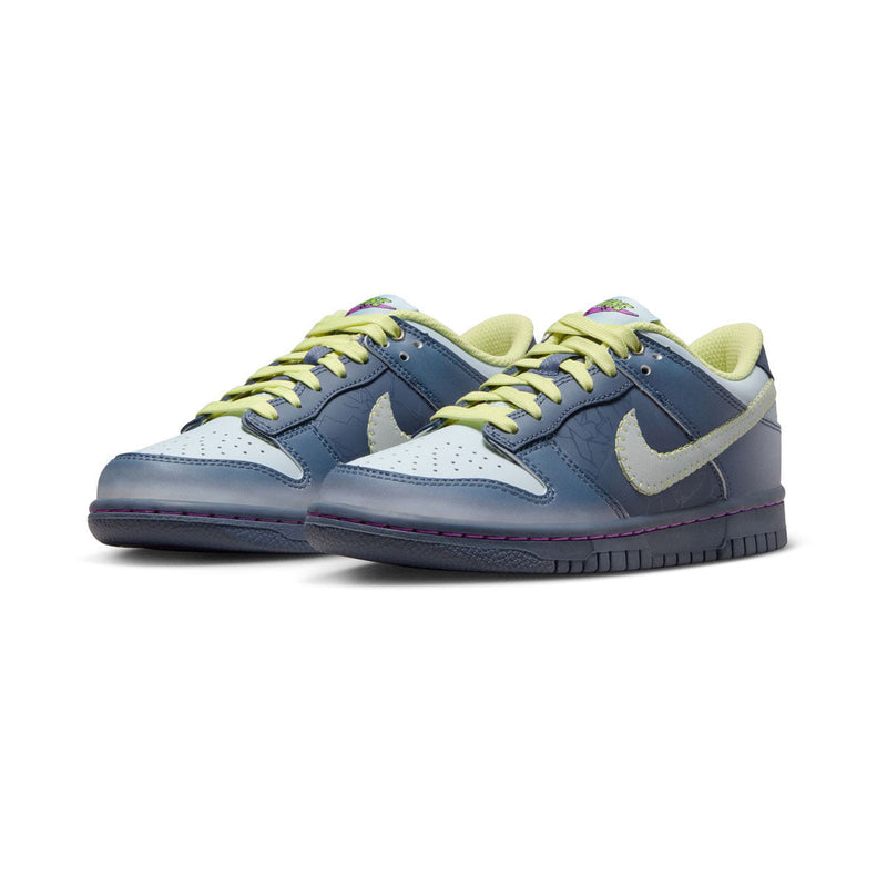 Dunk Low Big Kids' Shoes
