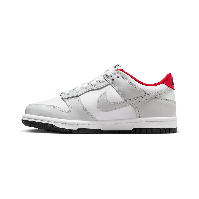 Dunk Low Big Kids' Shoes