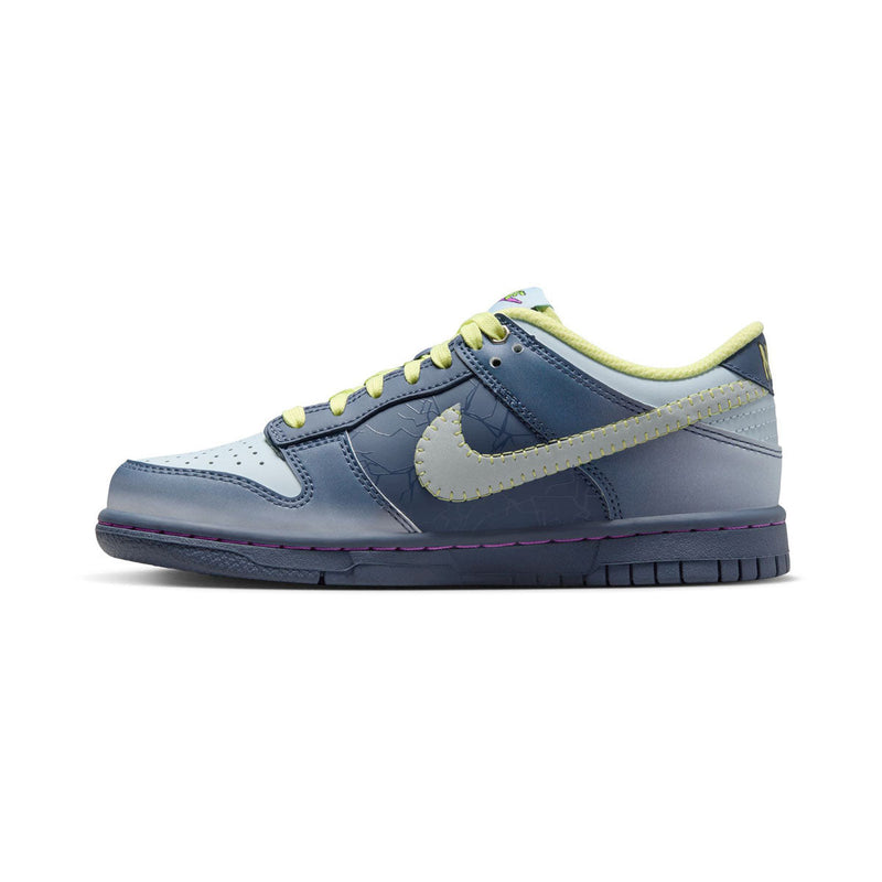 Dunk Low Big Kids' Shoes