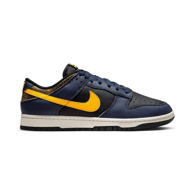 Dunk Low Retro Men's Shoes