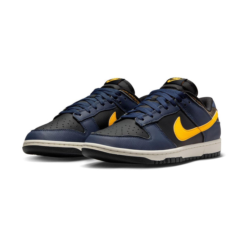Dunk Low Retro Men's Shoes