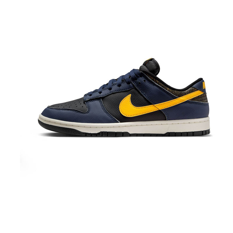 Dunk Low Retro Men's Shoes