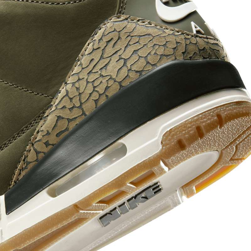Men's Air Jordan 3 Retro "Family Affair"