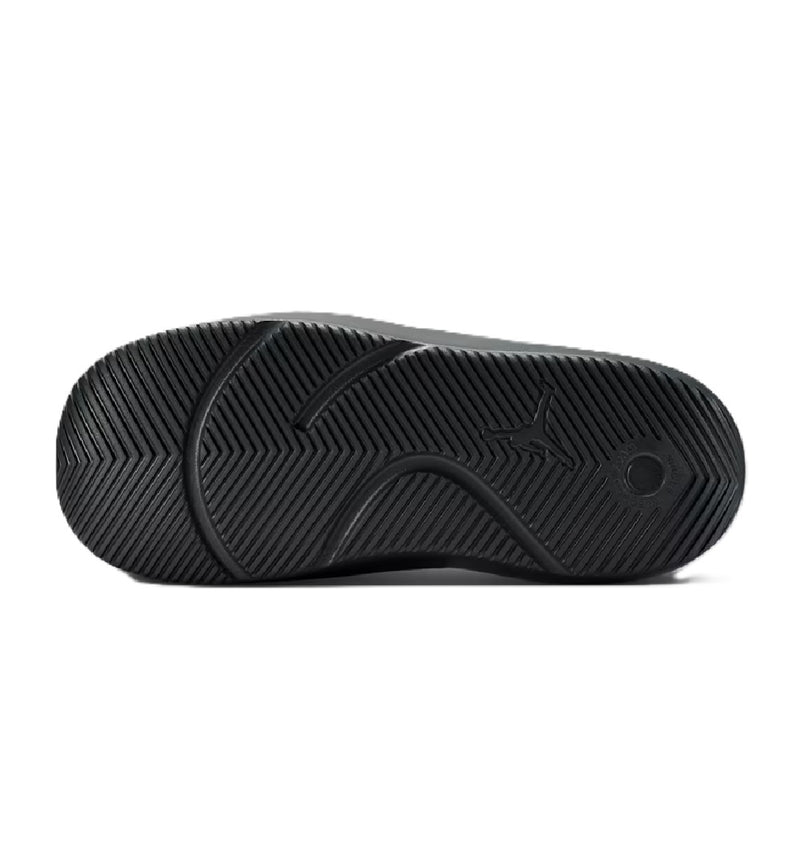Men's Jordan Franchise Slide Smoke Grey/LT Smoke Grey (HF3263 003)