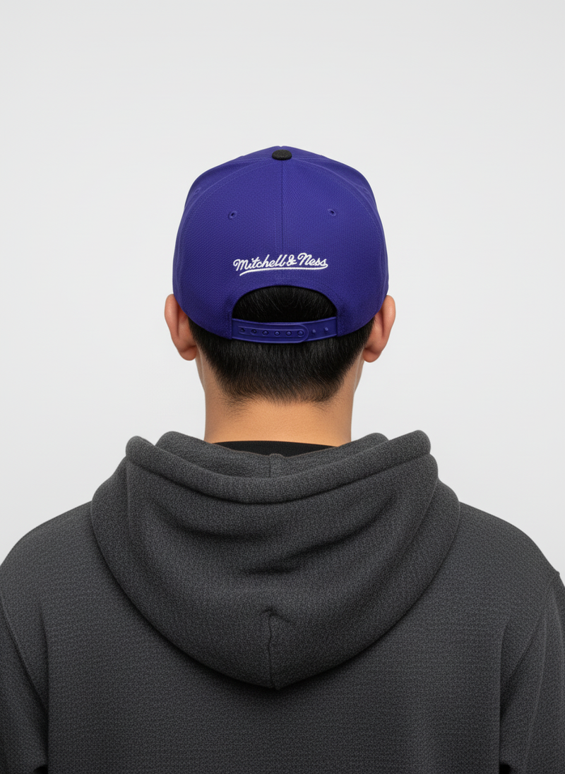 Mitchell And Ness NBA Toronto Raptors Denim Beak Snapback