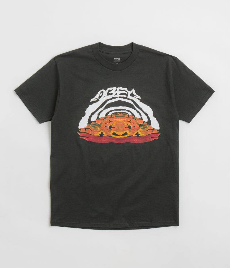 Obey Take The Leap T-Shirt in Vintage Black