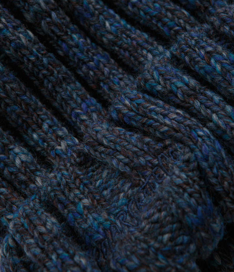 Polar Ali Beanie in Blue