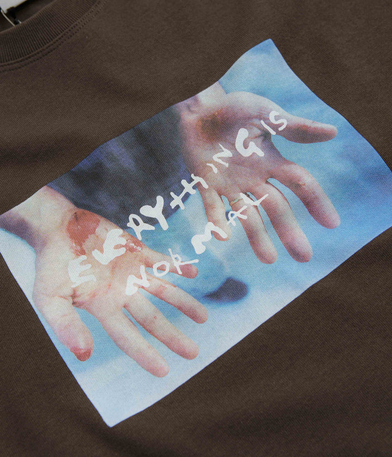 Polar Commitment T-Shirt in Brown