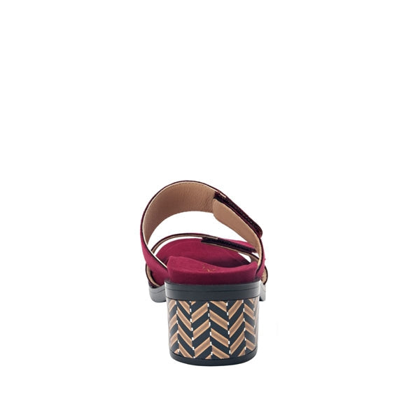 Tia