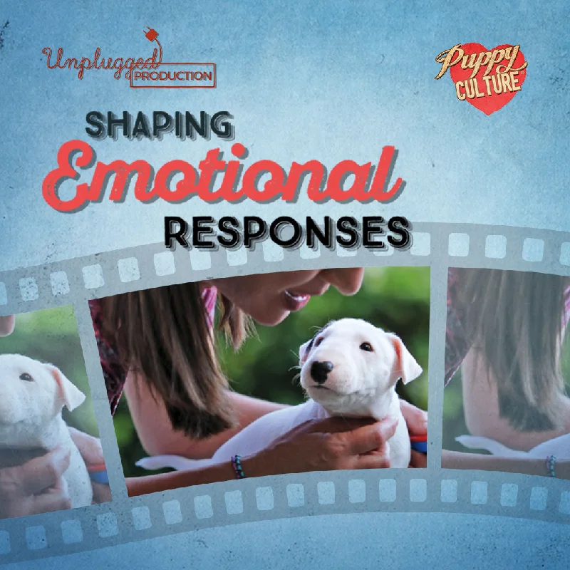 Shaping Emotional Responses