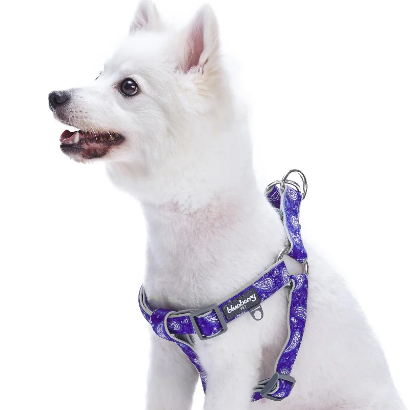 Paisley Print Padded Dog Harness