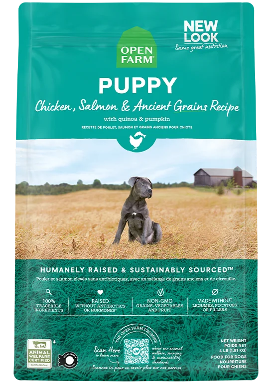 Puppy Ancient Grains Recipe