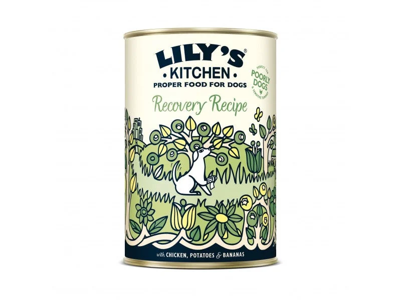 Lily's Kitchen Recovery Recipe for Dogs