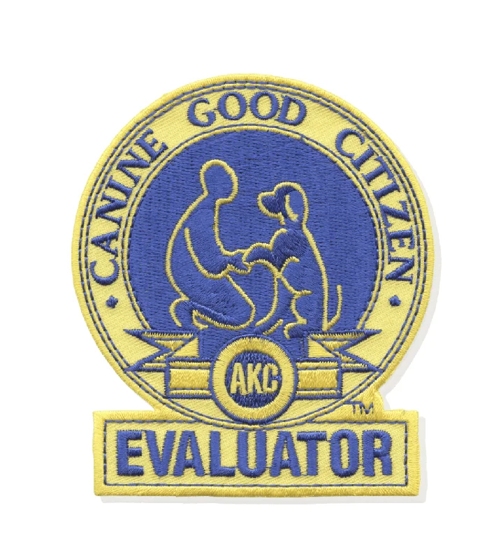 CGC Evaluator Patch