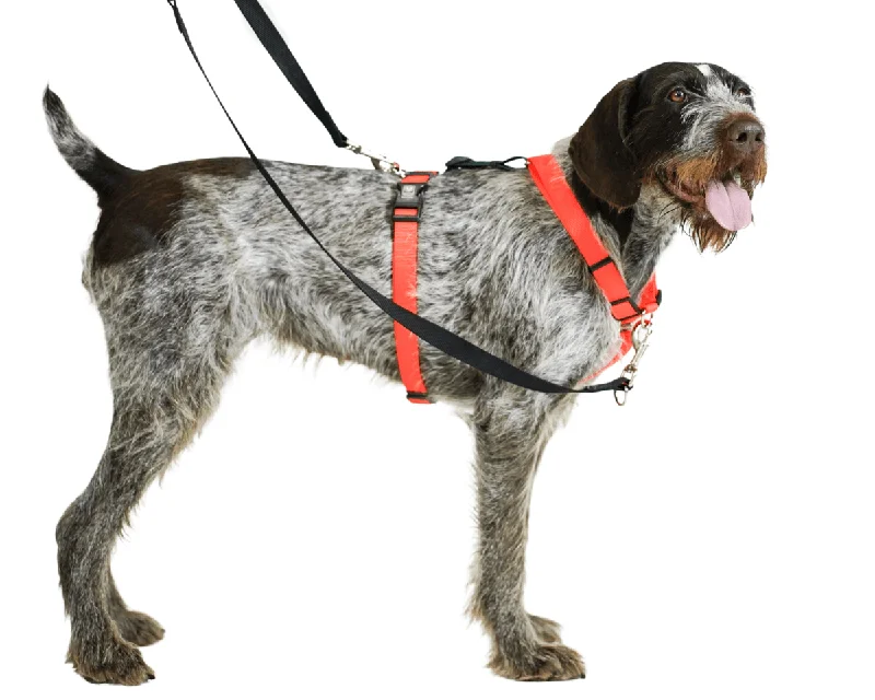 Blue-9 Balance Harness