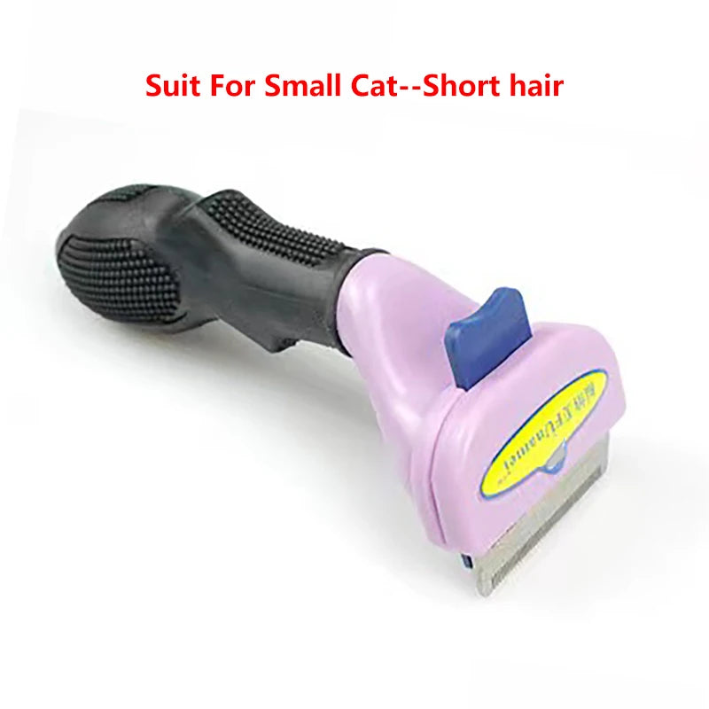 Cat S-short hair