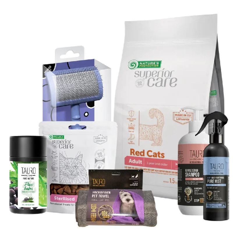 Cat Care Christmas Bundle II