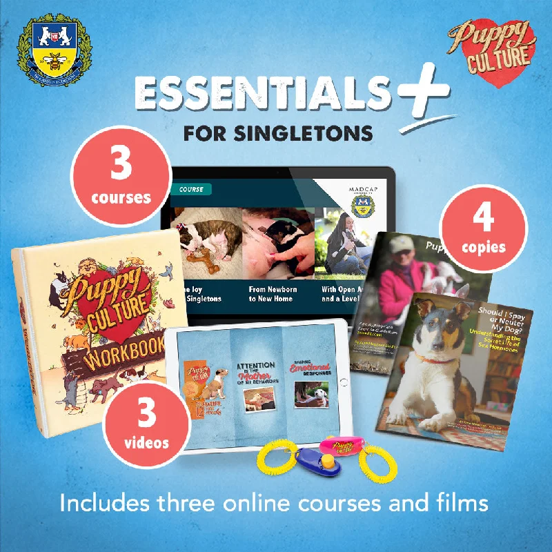 Essentials for Singletons PLUS