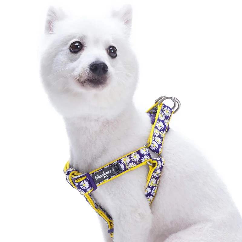 Floral Prints Neoprene Padded Dog Harness