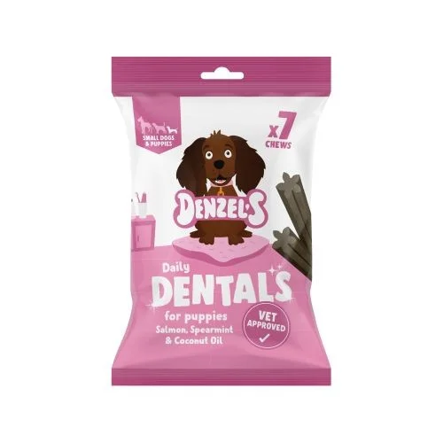 Denzel's Daily Dentals Salmon Spearmint & Coconut Oil Small