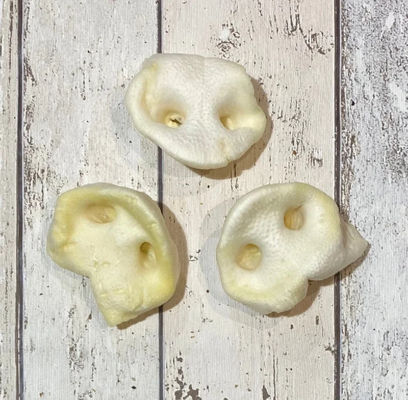 Puffed Porky Snouts Pack of 3