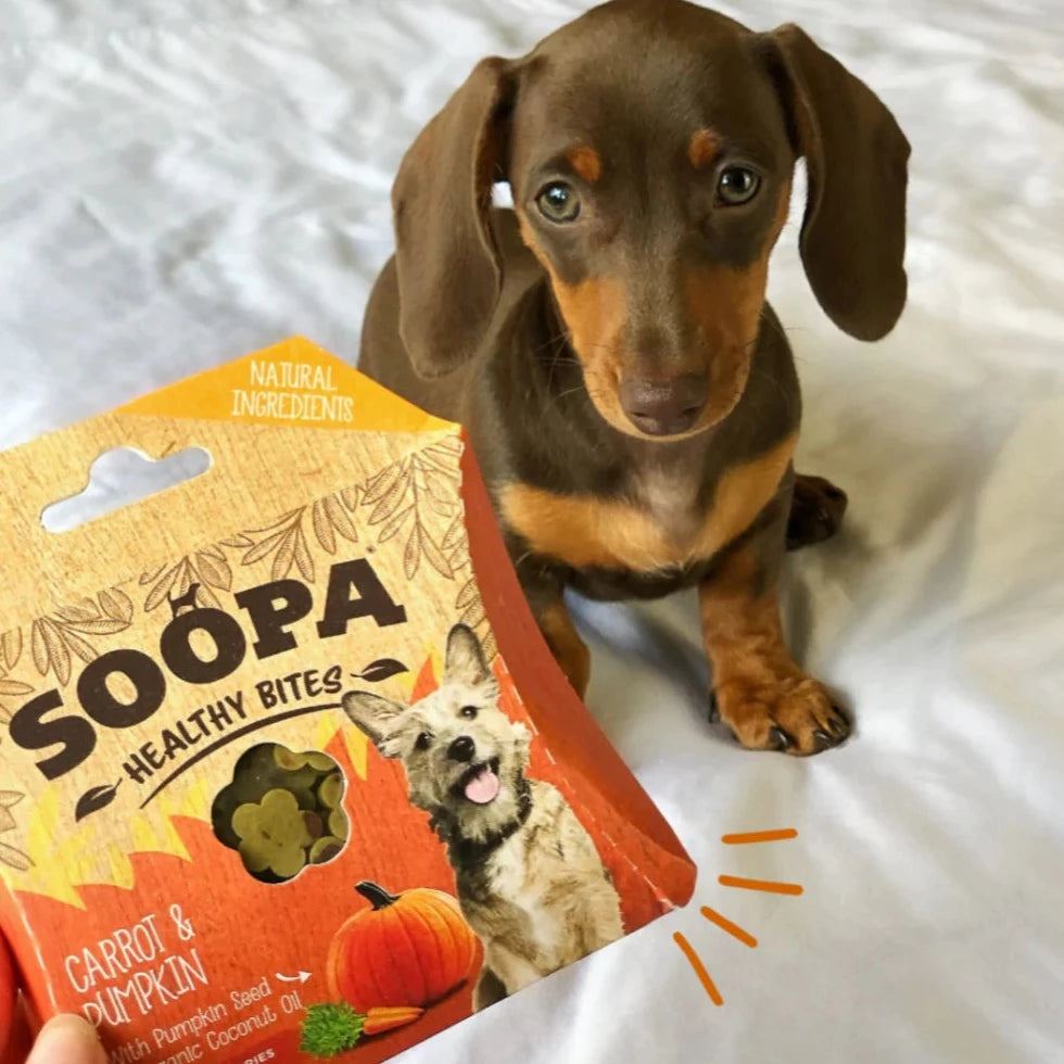 Soopa Healthy Bites