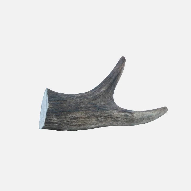 The Wild Antler Co Deer Antler