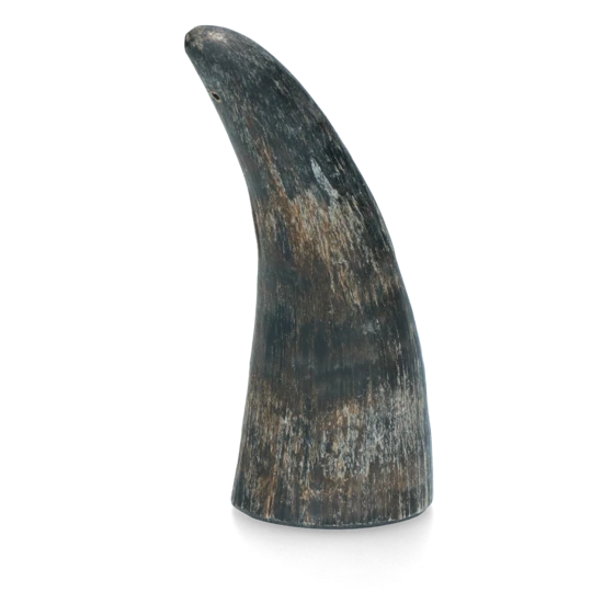 Viking whole Horn