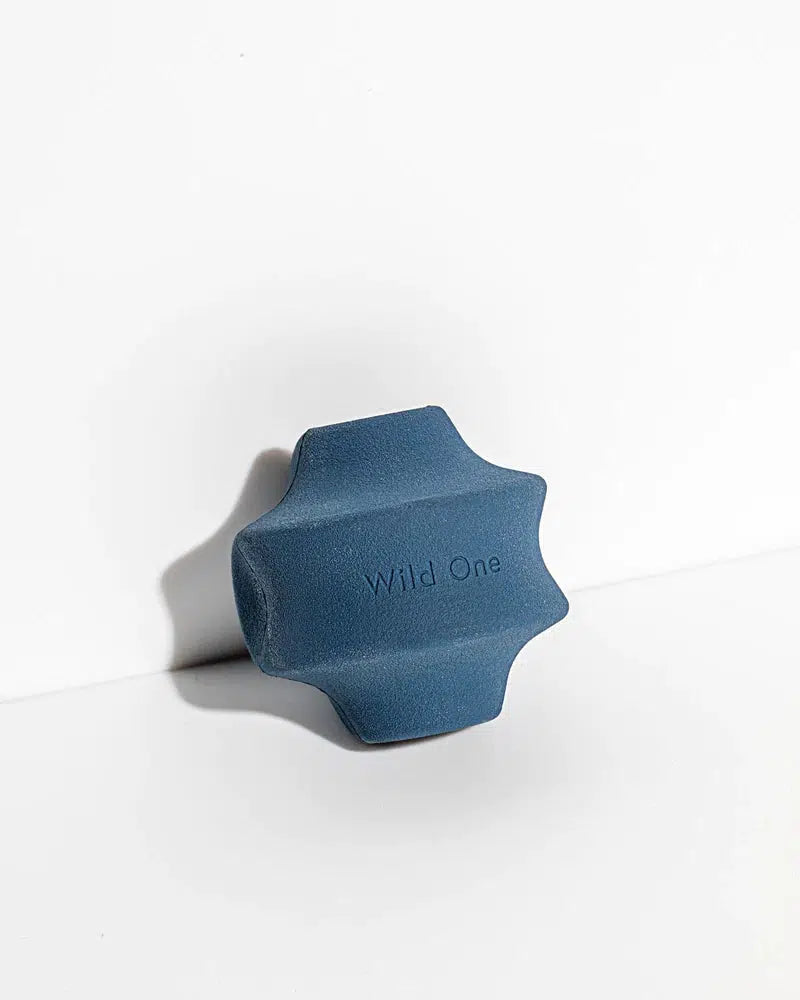 Wild One Navy Twist Toss Dog Toy