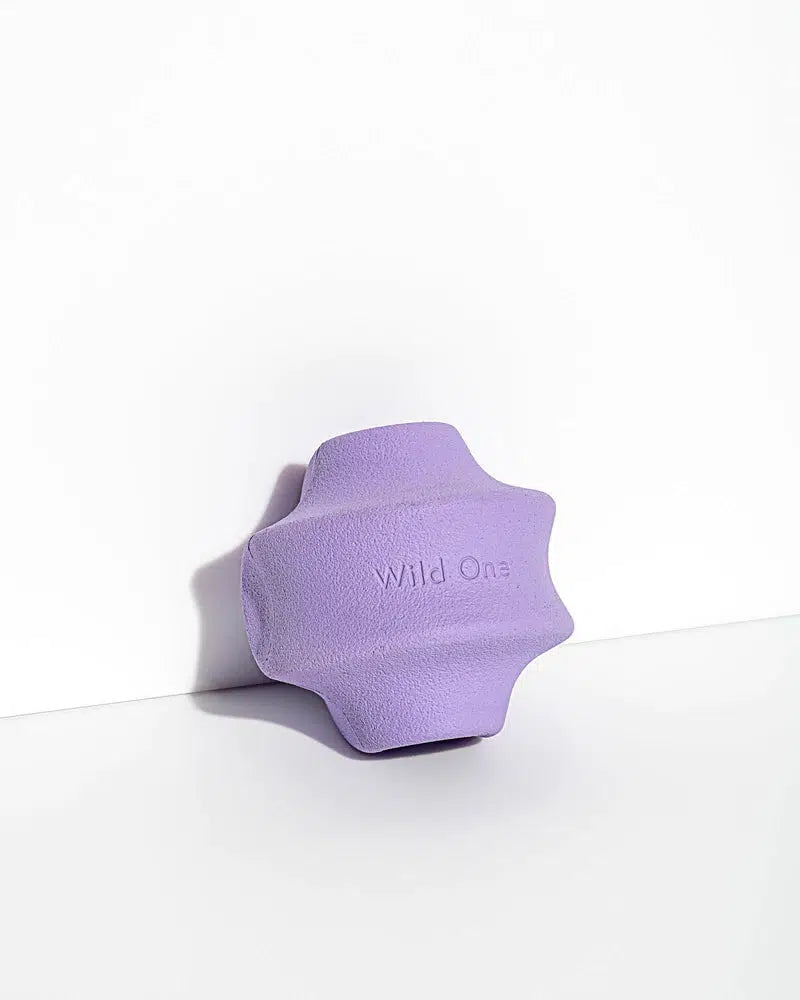 Wild One Lilac Twist Toss Dog Toy