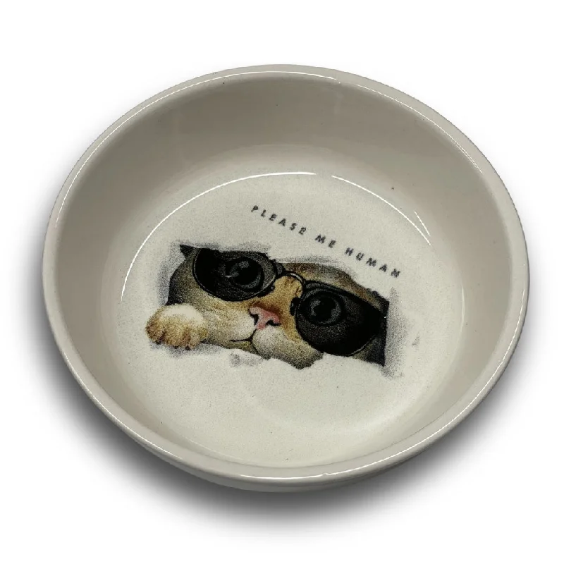 ''Please me Human'' Cat Bowl