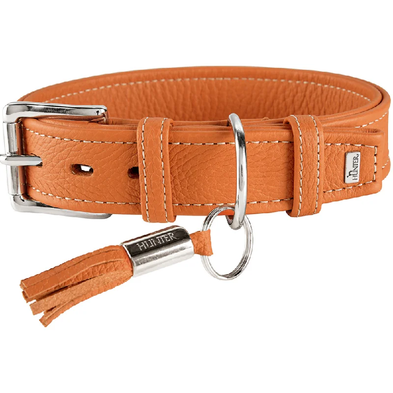 Hunter Cannes Collar for Dogs (Orange)