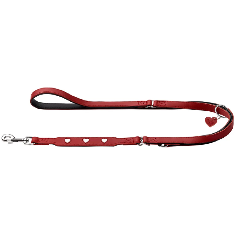 Hunter Love Training Leash for Dogs (Red)