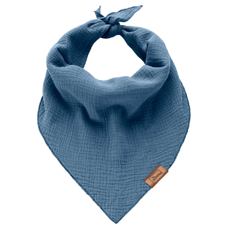 Hunter Nola Triangle Scarf for Dogs (Blue)