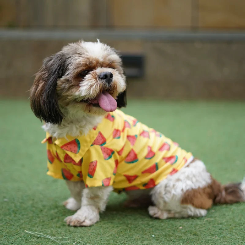 Pawgypets Watermelon Sugar Shirt for Dogs (Yellow)