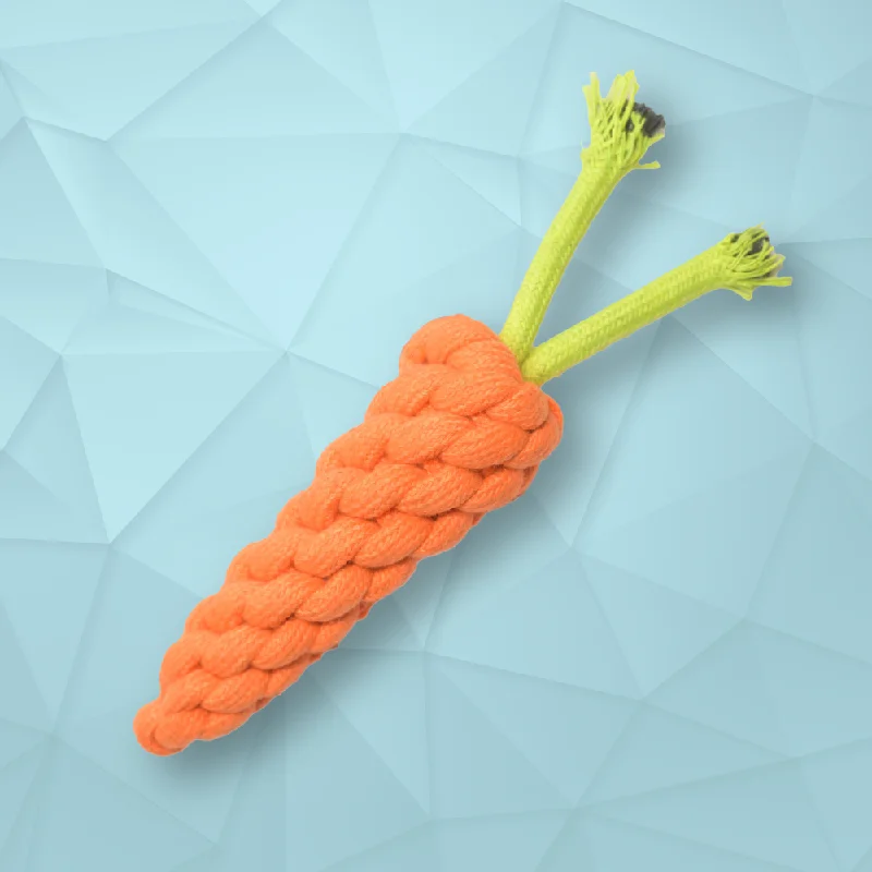 Skatrs Carrot Shaped Rope Chew Toy for Dogs and Cats (Orange)